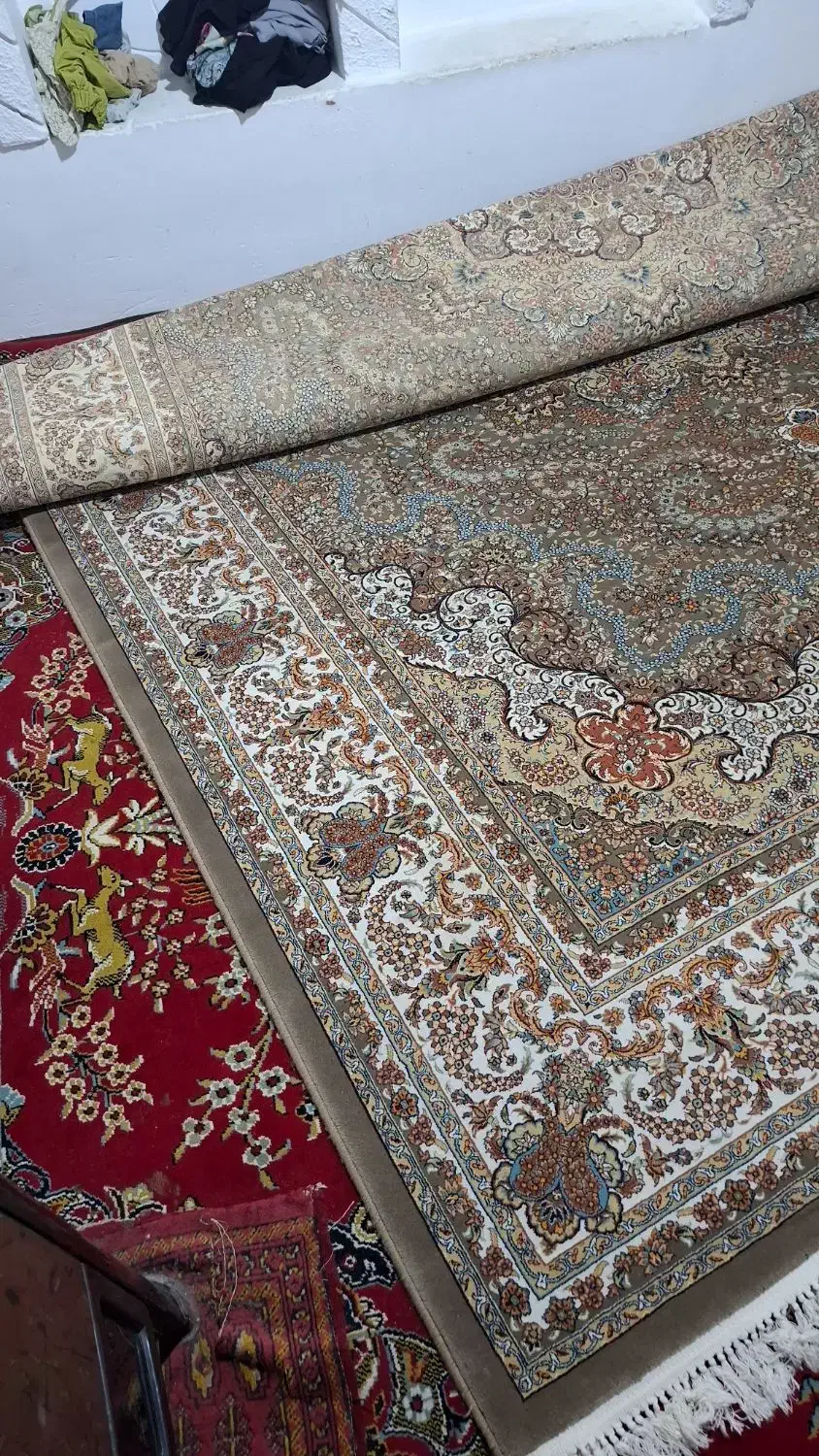 فرش 12 متری 700 شانه در حد|فرش|بابل, |دیوار