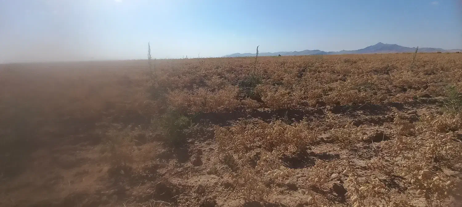 زمین اجاره می خوام|فعالیت داوطلبانه|دهگلان, |دیوار