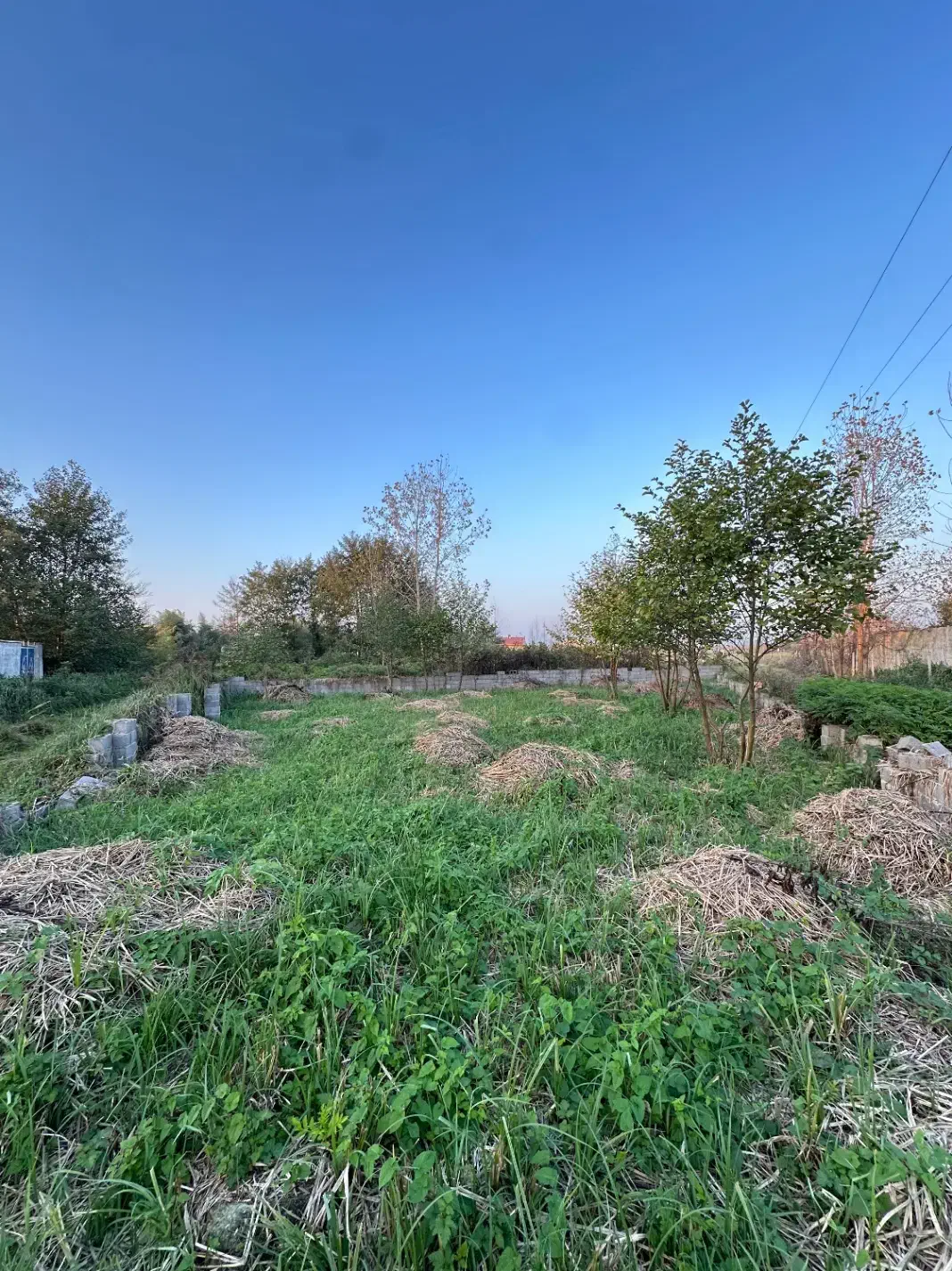 فروش ۳۰۰ متر زمین مسکونی در پیربازار|فروش زمین و ملک کلنگی|رشت, پیله داربن|دیوار