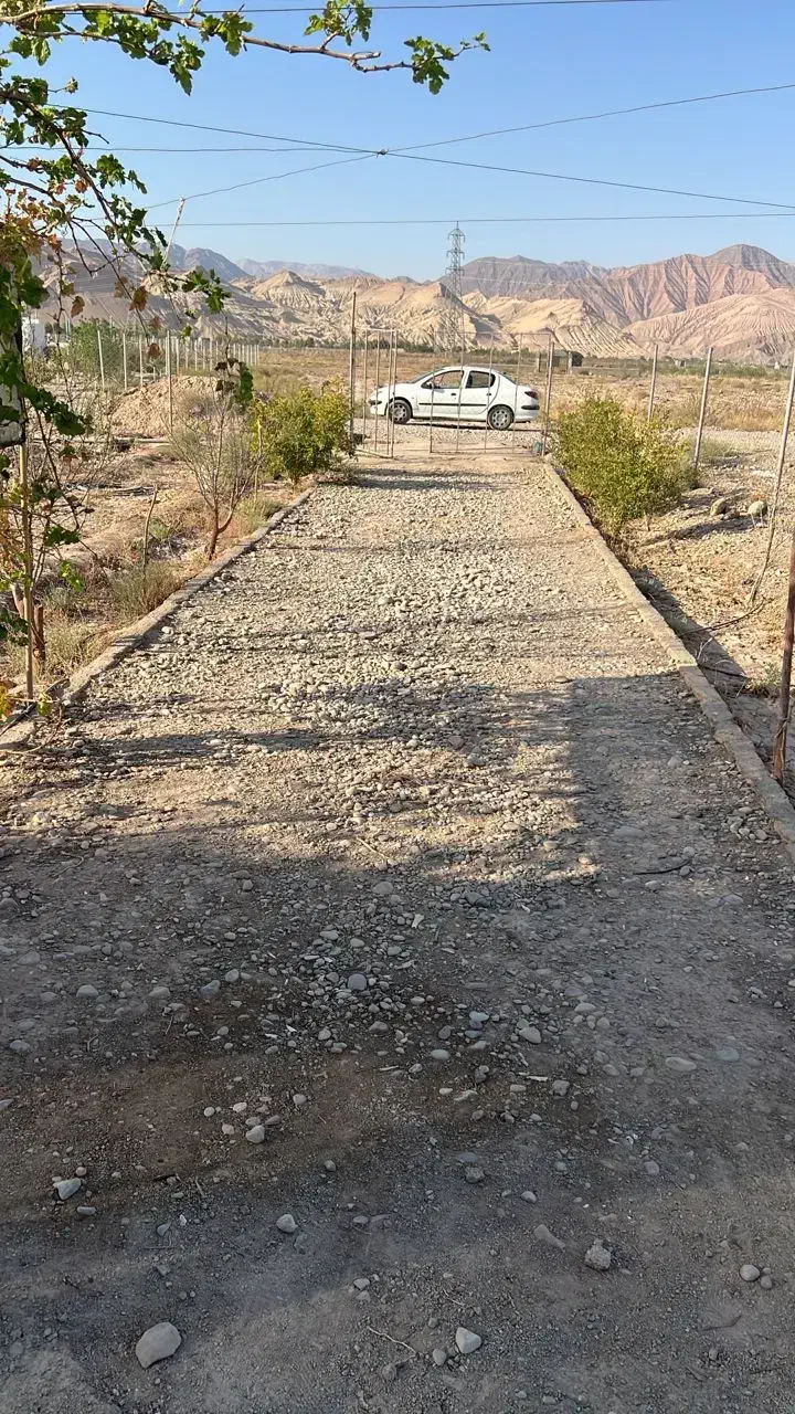 ۱۰۰۰ زمین باغی در بنه کوه گرمسار|فروش زمین و ملک کلنگی|گرمسار, |دیوار