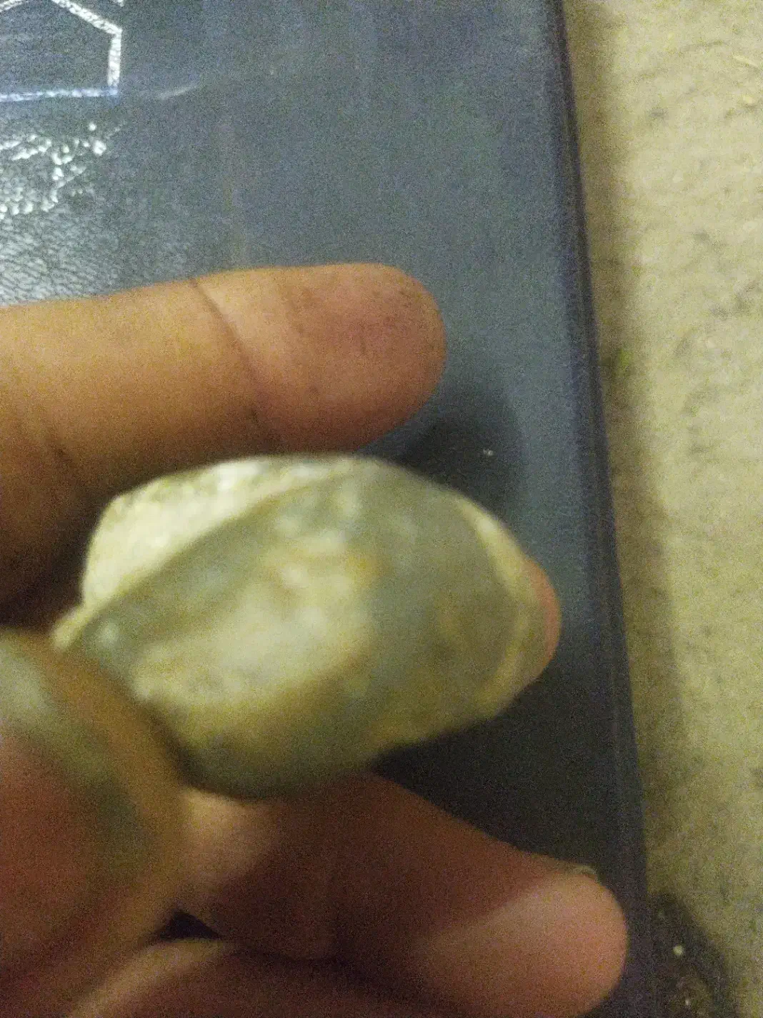 فروش به قیمت روز سنگ باستانی بانقش زیبا|کلکسیون اشیاء عتیقه|اصفهان, دانشگاه اصفهان|دیوار