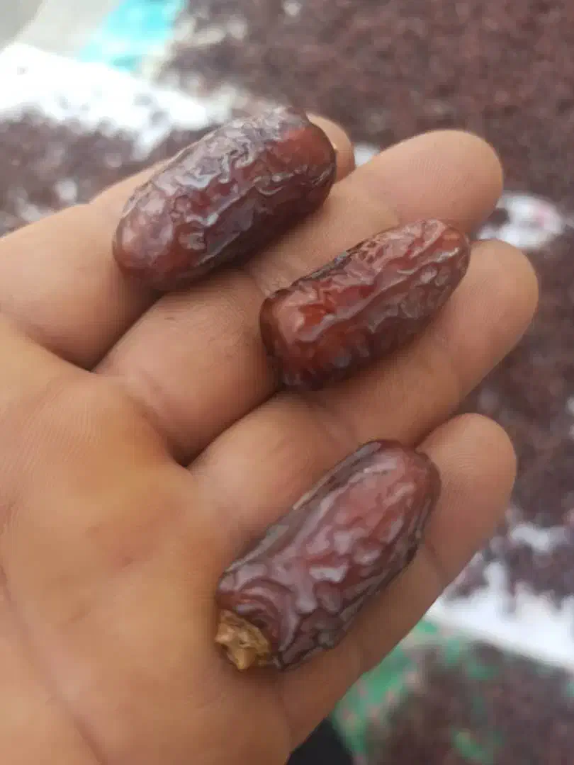 خرمای پیارم|خوردنی و آشامیدنی|شیراز, فرگاز|دیوار