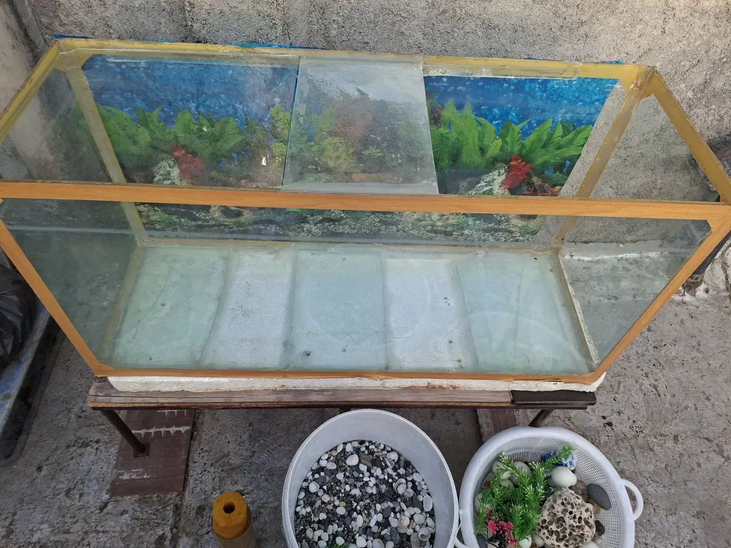 آکواریوم|ماهی|نجف‌آباد, امیرآباد|دیوار