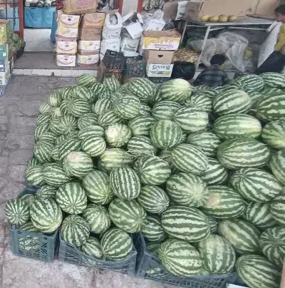 نیازمند نیرو خانم برا سبزی فروشی|استخدام بازاریابی و فروش|اردکان, |دیوار