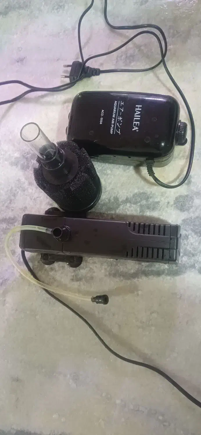 آکواریوم ماهی|ماهی|کرمانشاه, |دیوار