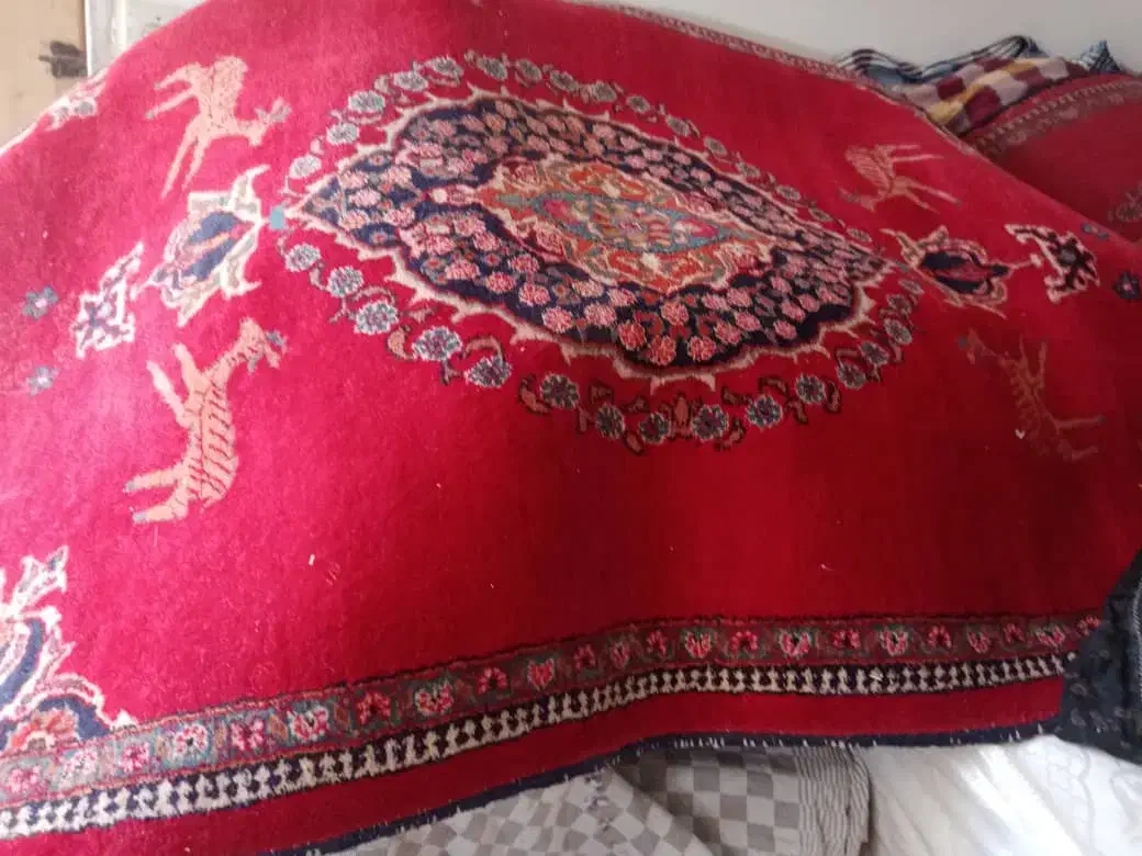قالیچه وسماور قدیمی|کلکسیون اشیاء عتیقه|سرخه, |دیوار