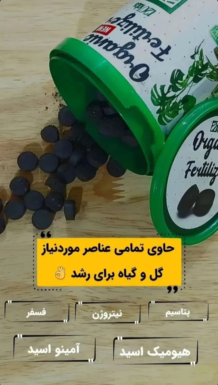 به گیاهت جونِ دوباره بده|گل و گیاه طبیعی|قم, سراجه|دیوار