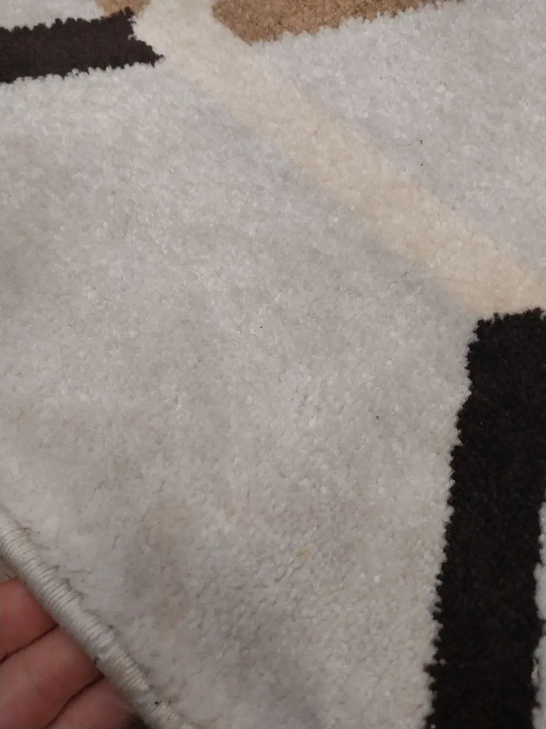 فرش۴متری|فرش|بابلسر, |دیوار