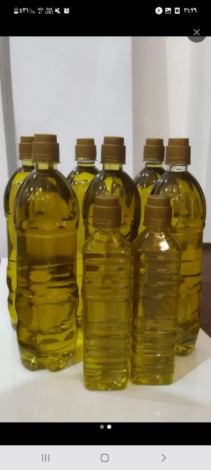 روغن زیتون|حراج|رشت, قاسمیه|دیوار