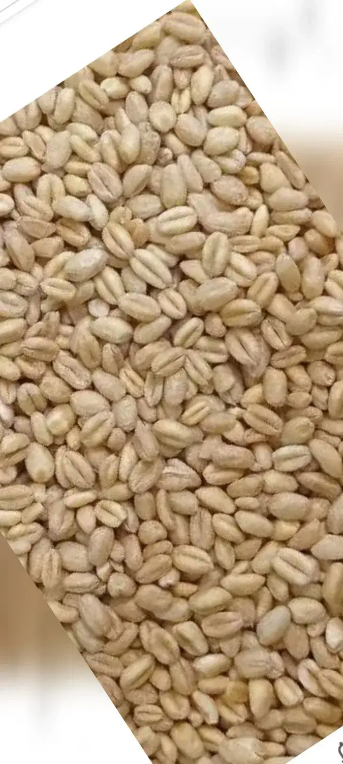 گندوم‌‌پتو|خدمات باغبانی و درختکاری|کلاشی, |دیوار