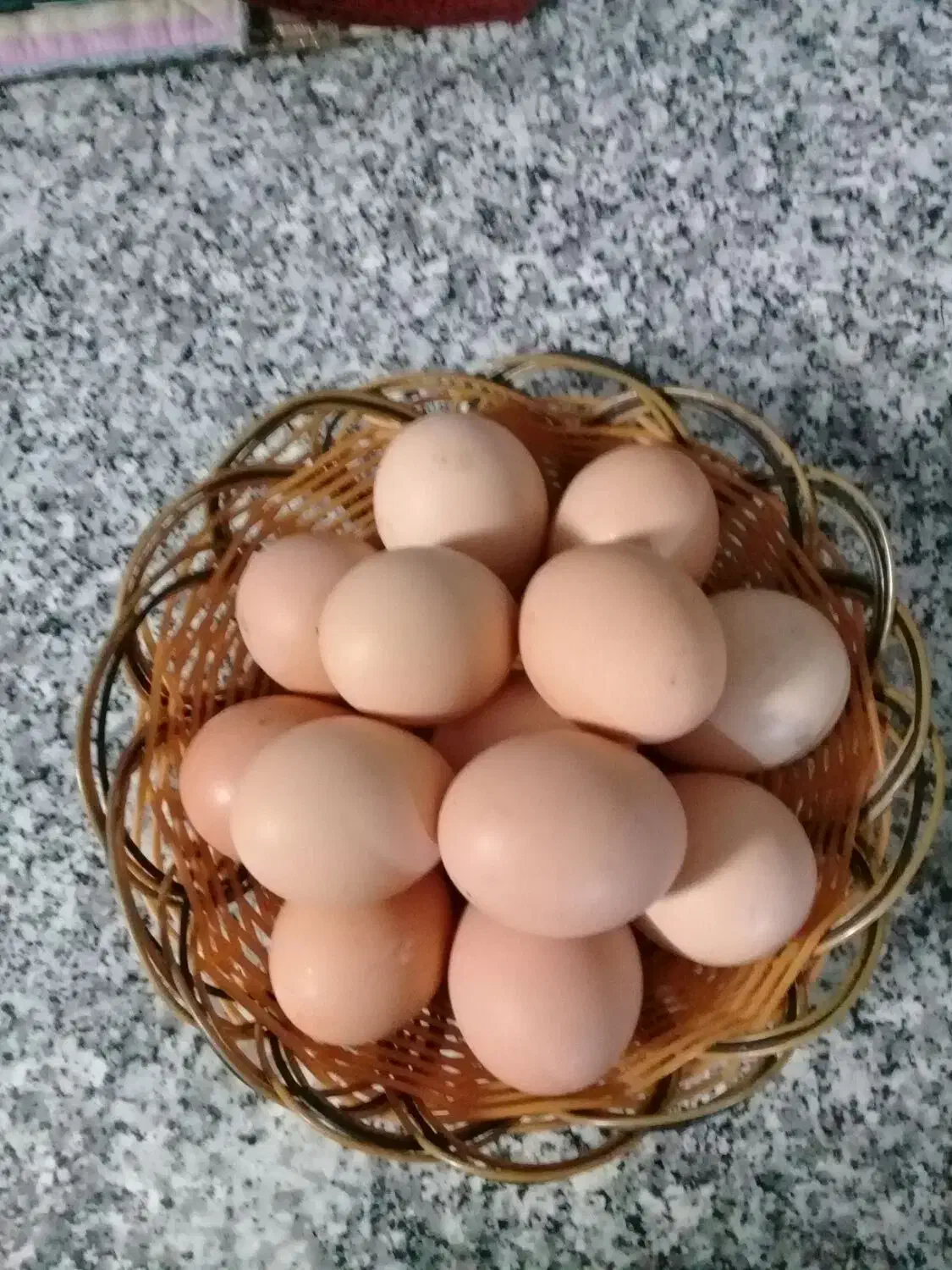 تخم مرغ بومی خانگی|خوردنی و آشامیدنی|اصفهان, شمس آباد|دیوار