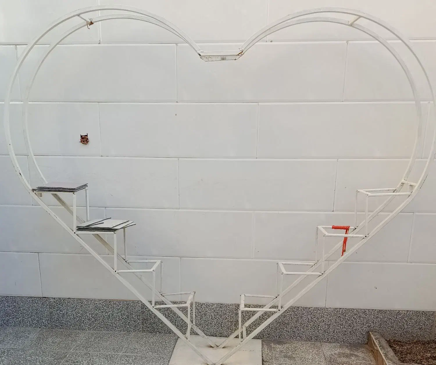 استند گل|گل و گیاه طبیعی|قم, شهر قائم|دیوار