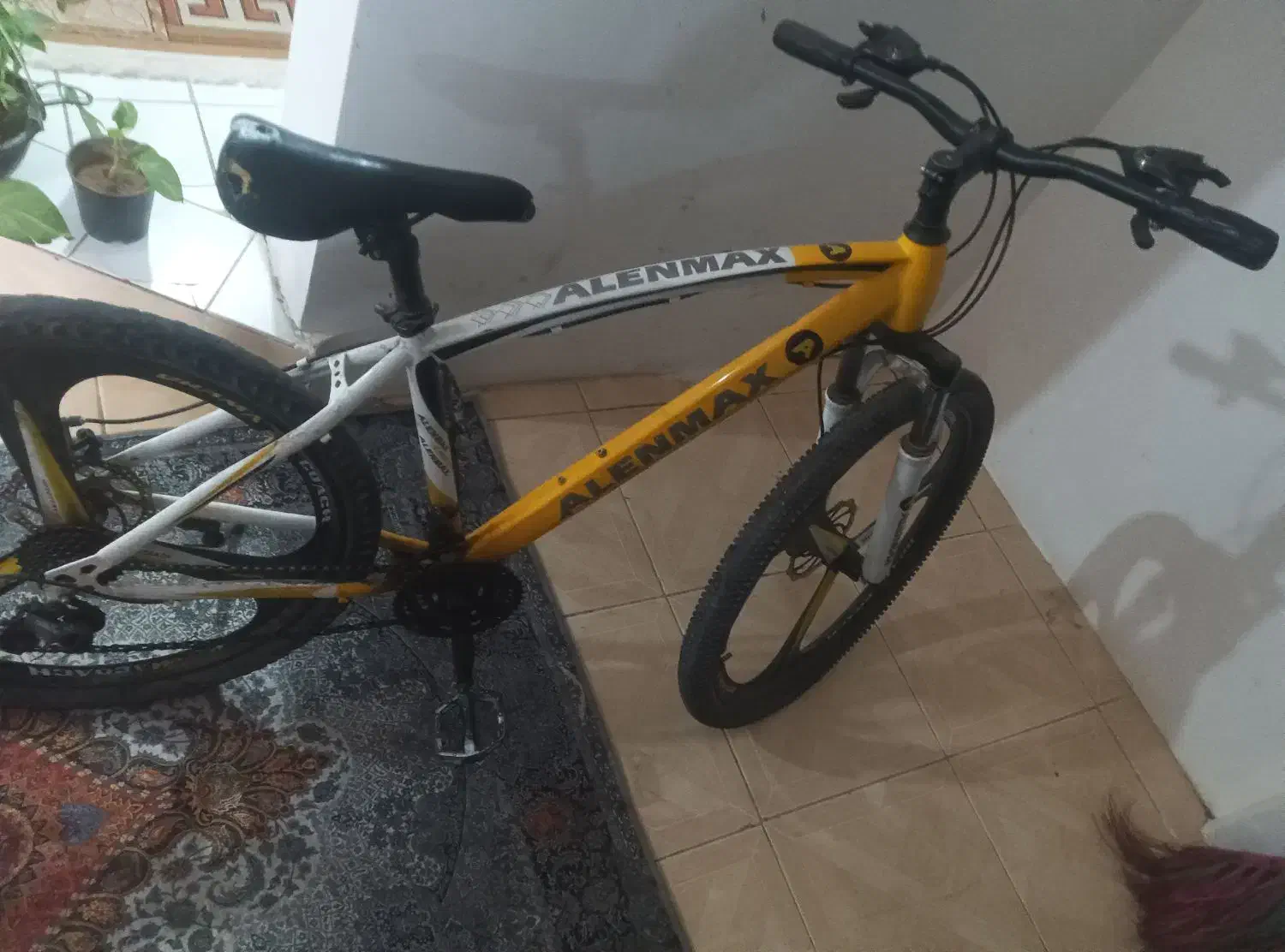 دوچرخه ۲۶|دوچرخه، اسکیت، اسکوتر|بم, |دیوار