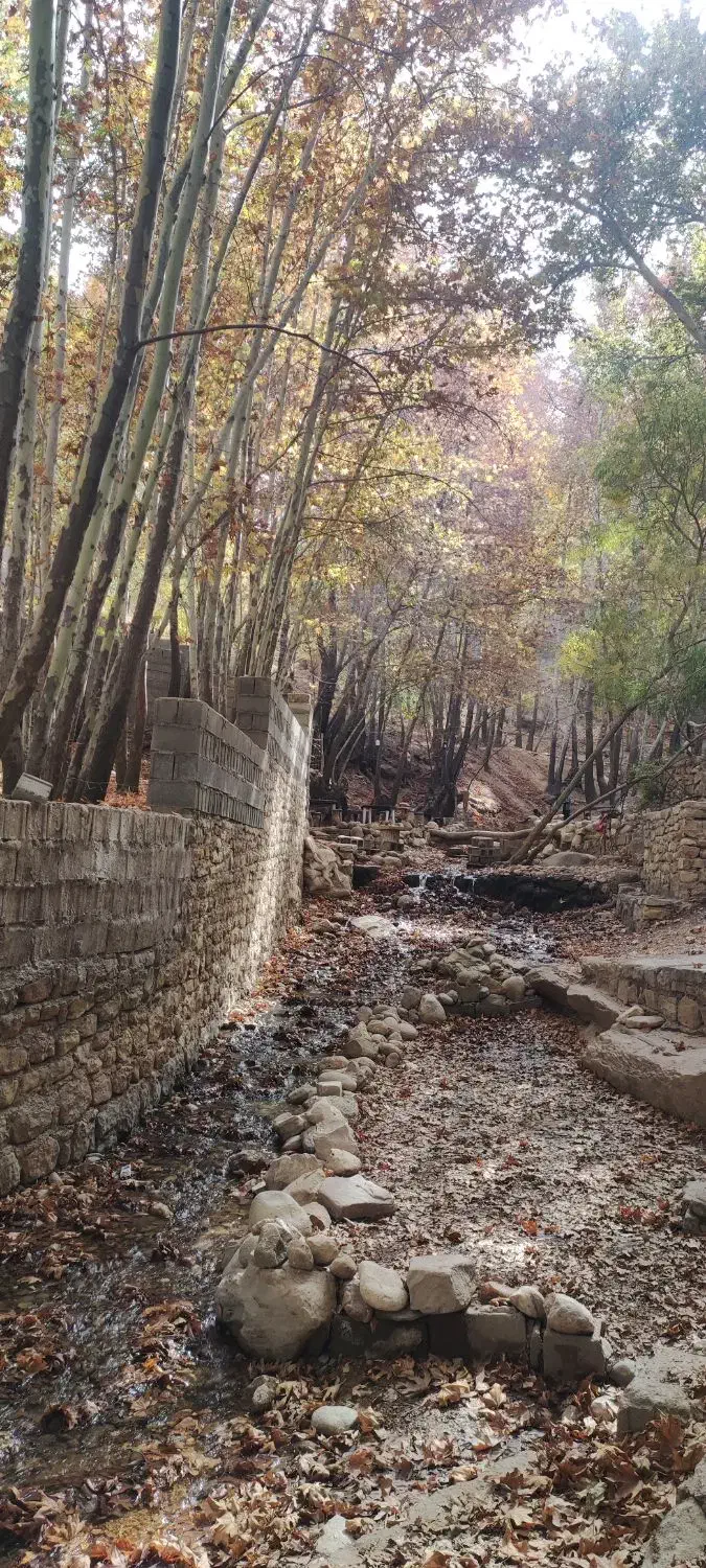 همفکری|فعالیت داوطلبانه تحقیقاتی|شیراز, سیاه سنگ|دیوار