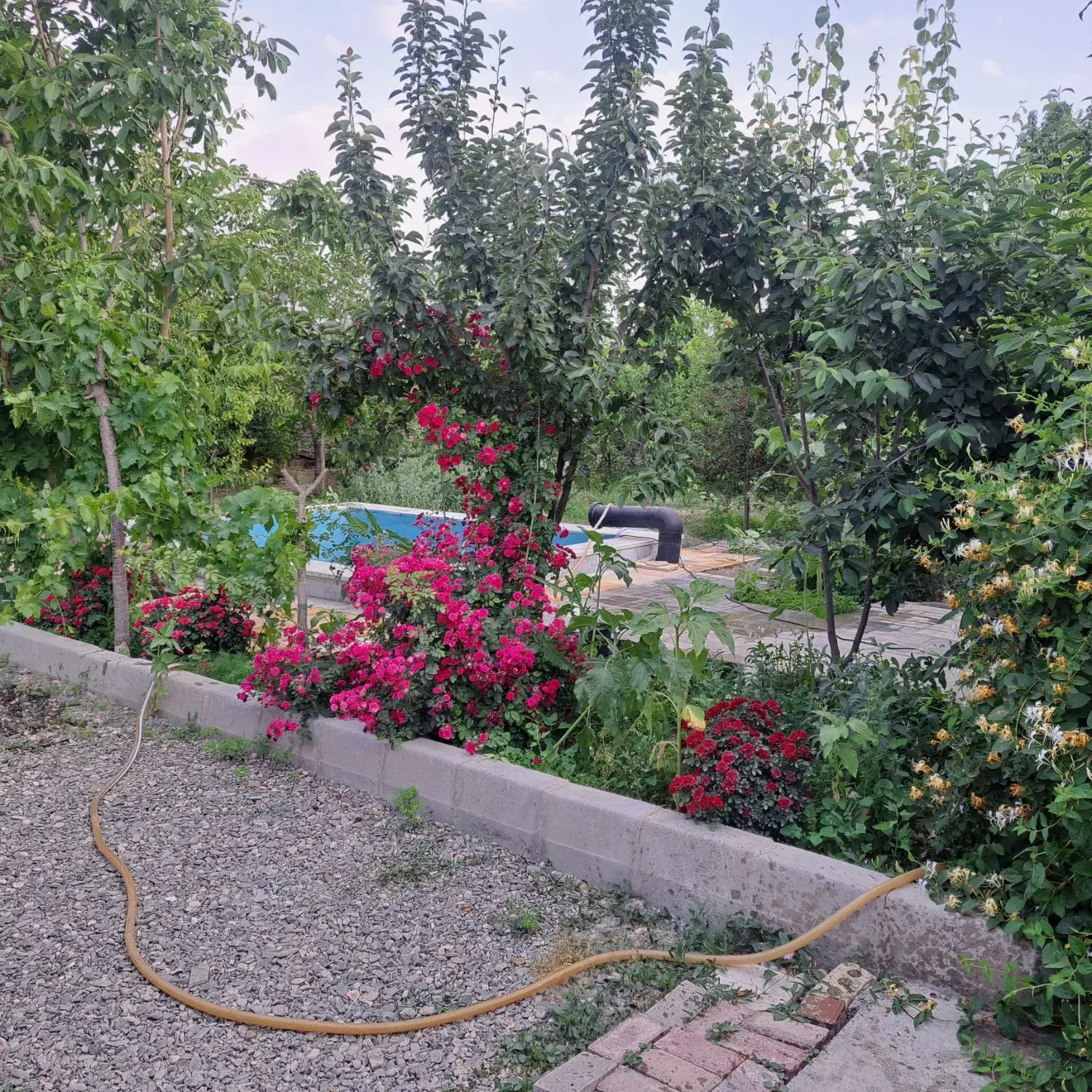 باغ فروشی|فروش خانه و ویلا|چناران, |دیوار