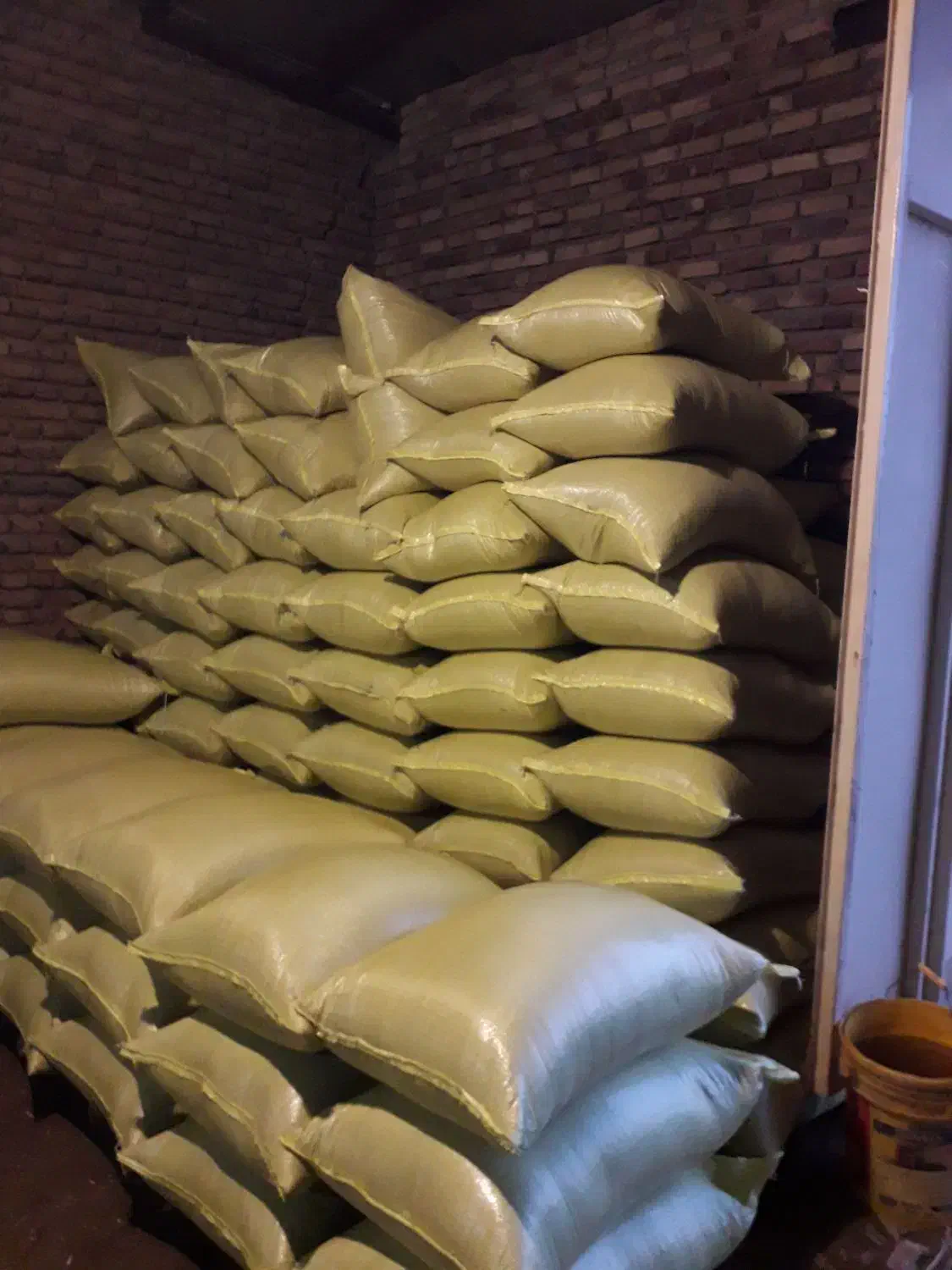 بذر گندم ال جی ۵LJ5 درجه یک|خدمات باغبانی و درختکاری|اردبیل, |دیوار