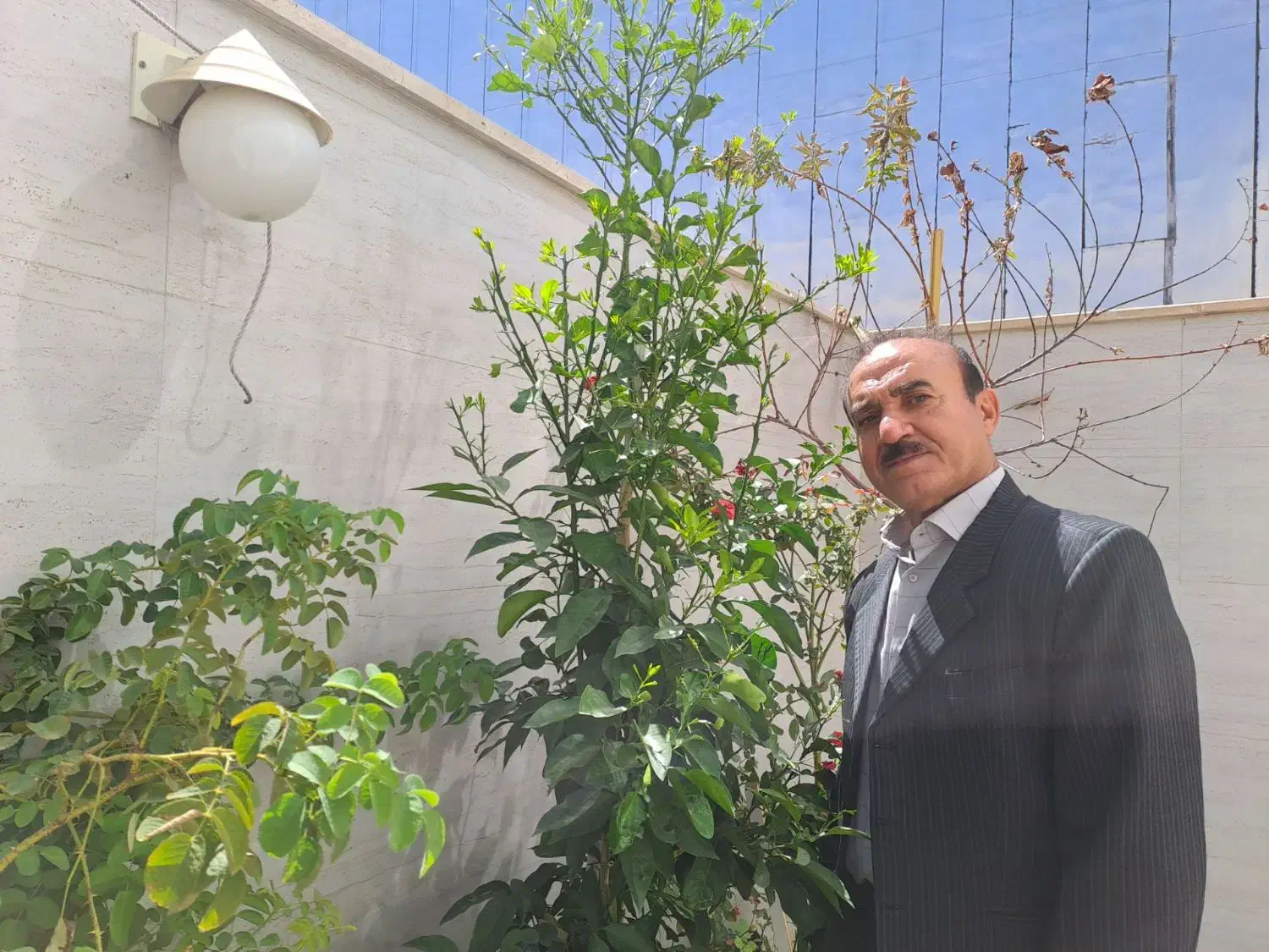 تدریس خصوصی آنلاین وحضوری زیست‌شناسی باتخفیف 50|خدمات آموزشی|ایلام, |دیوار