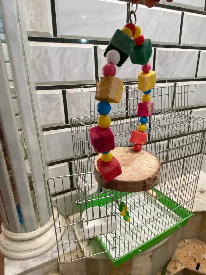 قفس و تاب|لوازم جانبی حیوانات|بناب, |دیوار