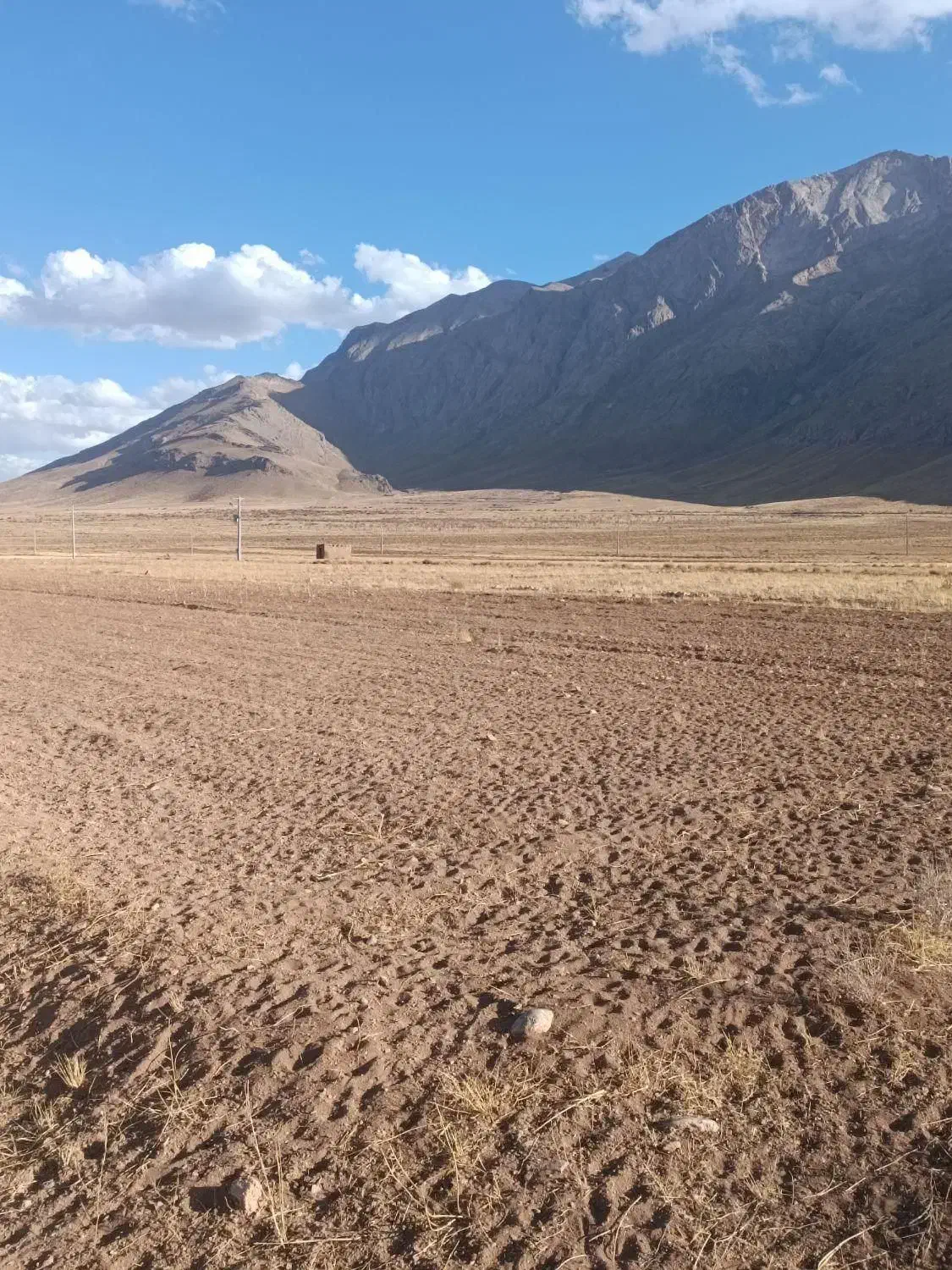 اجاره زمین کشاورزی موسیری|اجارهٔ دفتر صنعتی، کشاورزی، تجاری|داران, |دیوار