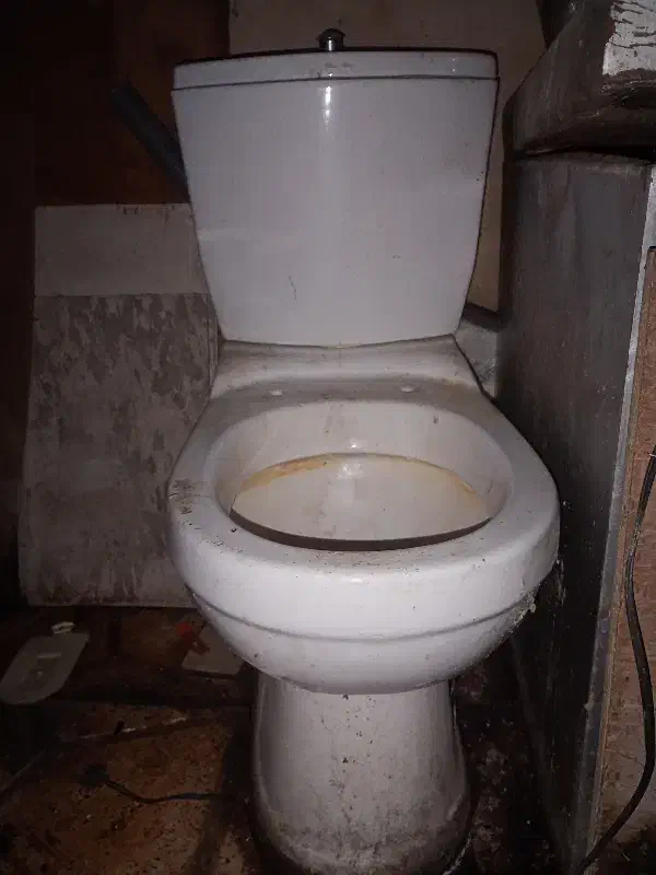 توالت فرهنگی|لوازم سرویس بهداشتی|گنبد کاووس, |دیوار