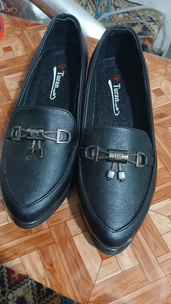 کفش اسپرت کالج|کیف، کفش، کمربند|قم, نیروگاه|دیوار