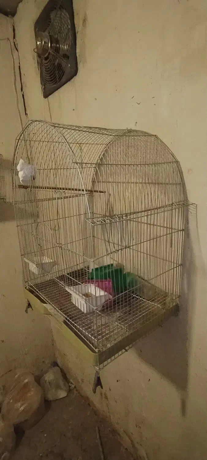 قفس پرندگان تکمیل|لوازم جانبی حیوانات|بوکان, |دیوار