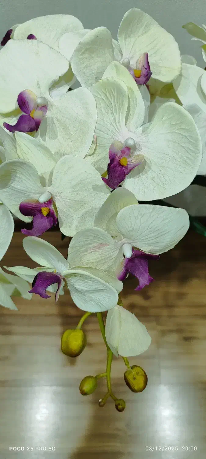 گل و گلدون|گل مصنوعی|تهران, ستارخان|دیوار