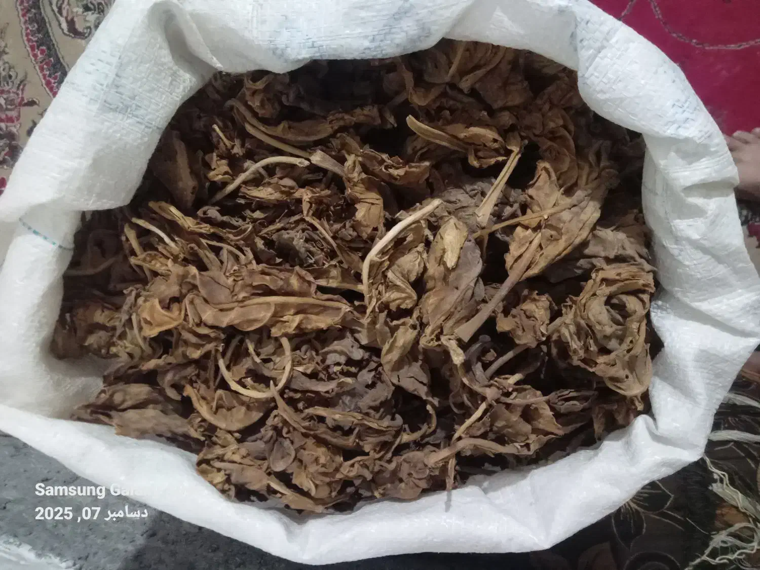 برک قرمز خوب|عمدهفروشی|خورموج, |دیوار