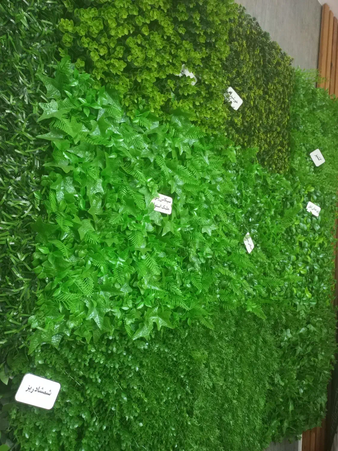 چمن مصنوعی گرین وال آویز دکوری تخصصی|مصالح و تجهیزات ساختمان|شاهینشهر, فیض|دیوار