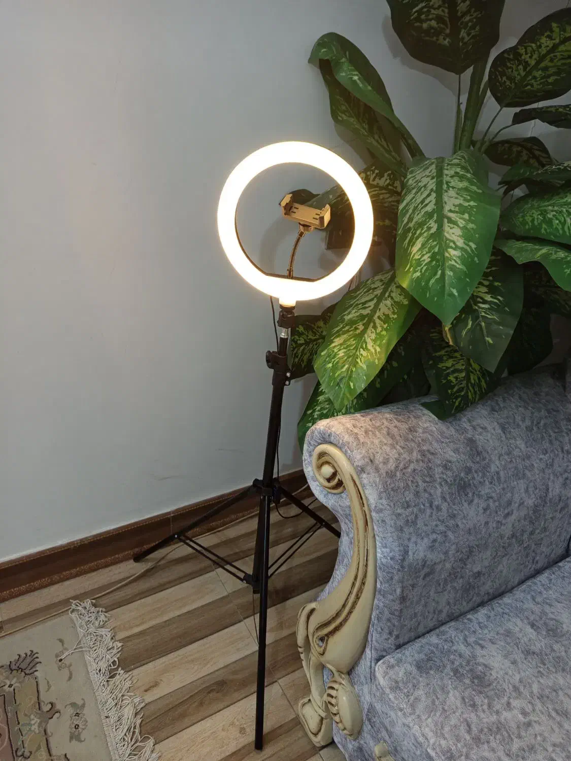 رینگ لایت|لوازم جانبی موبایل و تبلت|شیراز, گویم|دیوار