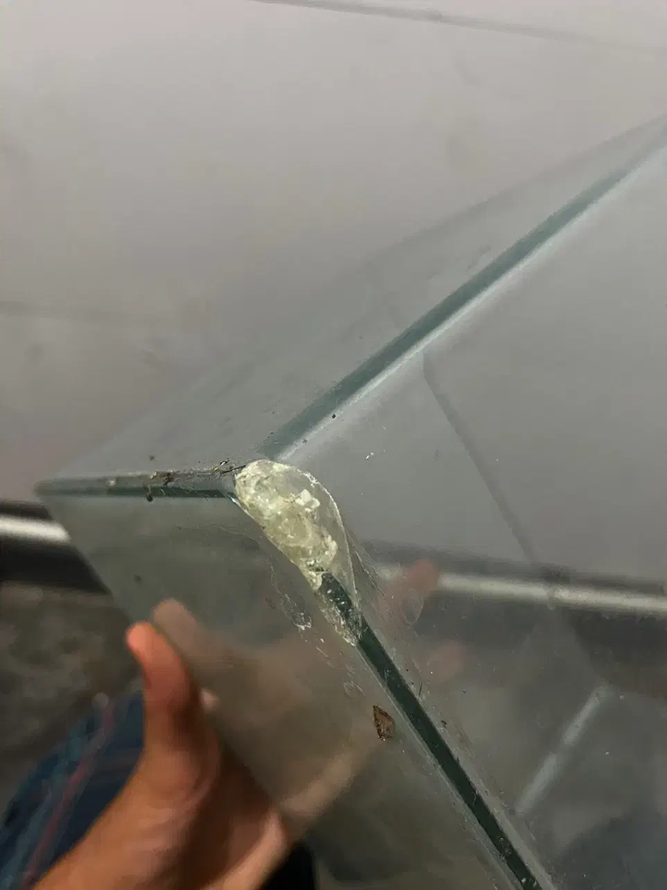 آکواریوم|ماهی|کرج, دولتآباد|دیوار