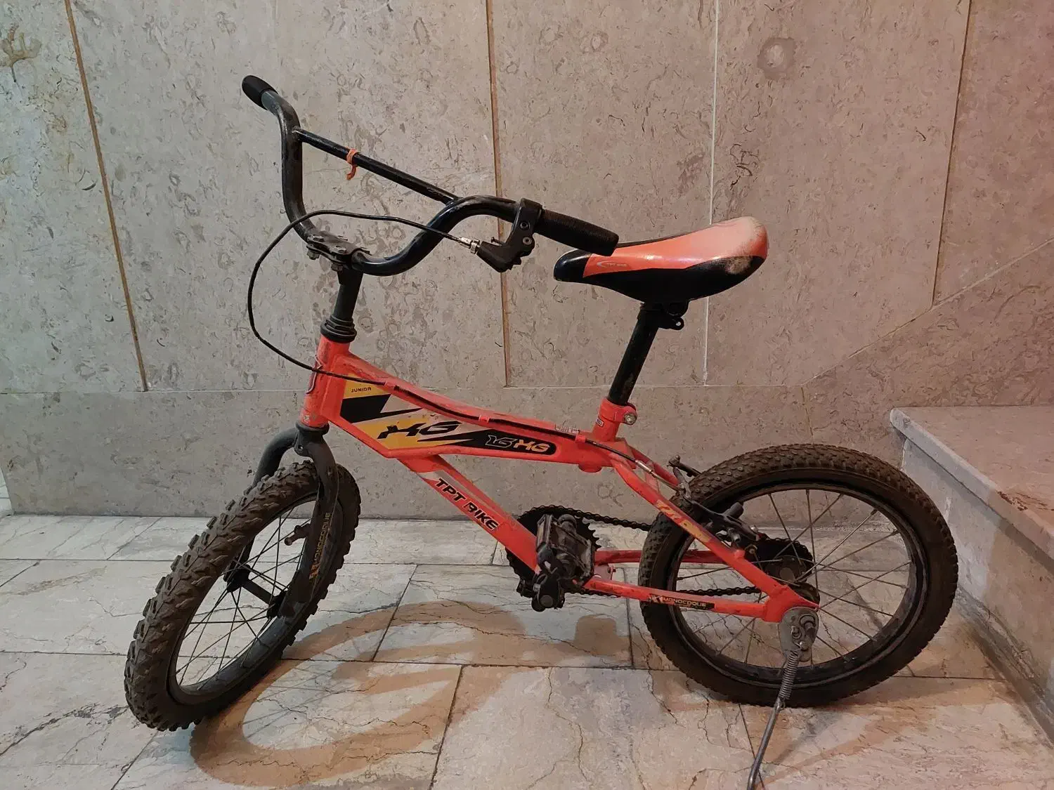 دوچرخه|دوچرخه، اسکیت، اسکوتر|فردیس, منظریه|دیوار