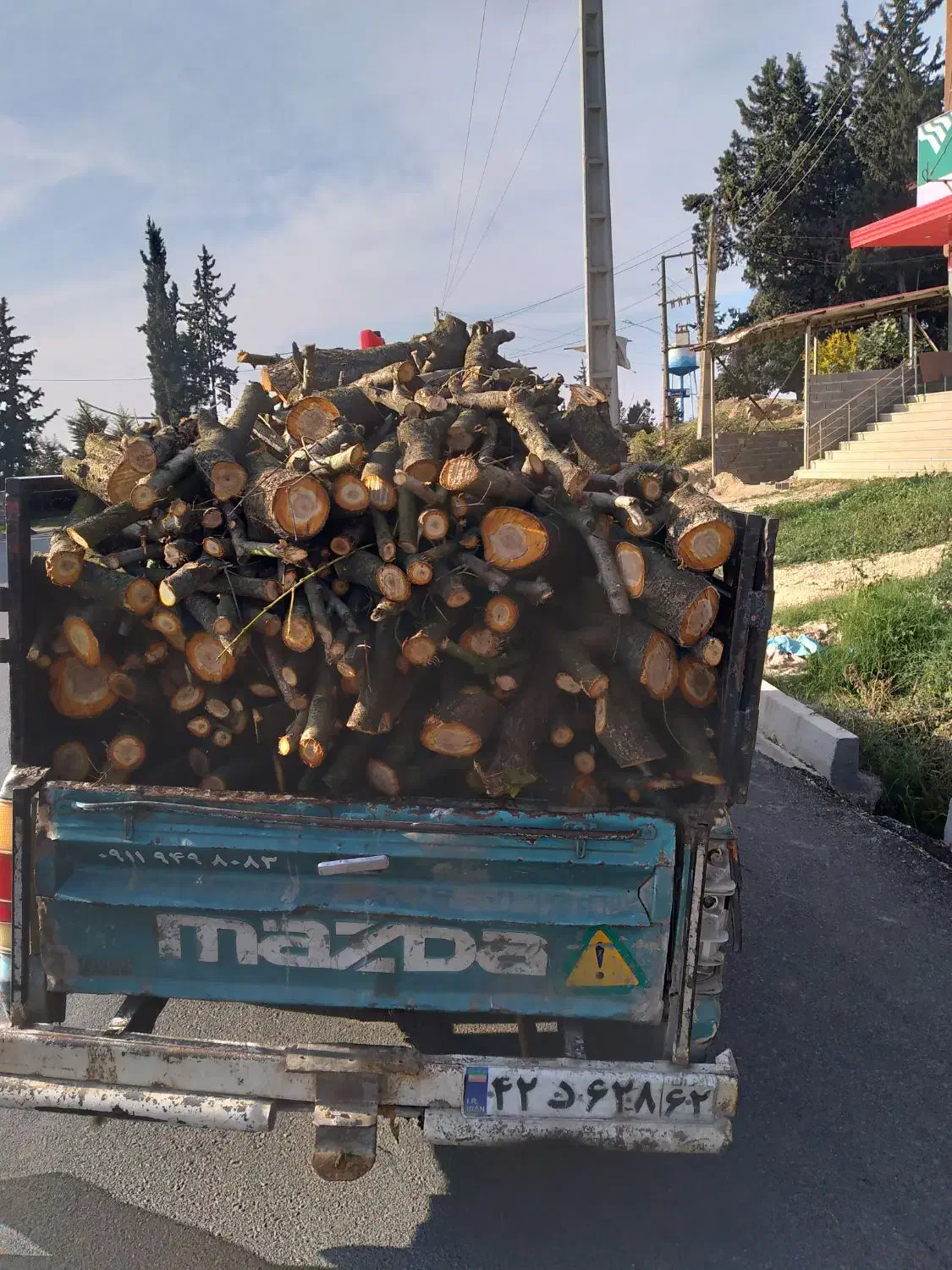 خریدفروش و هرس انواع چوب های باغی|خدمات باغبانی و درختکاری|سورک, |دیوار