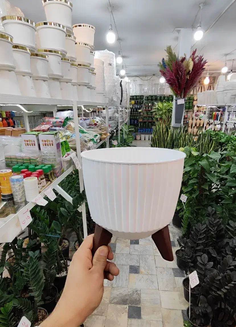 گلدان پایه دار سفید پلاستیکی پایه استند گلدان شفلر|گل و گیاه طبیعی|قم, ولیعصر|دیوار