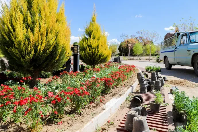 خدمات باغبانی کوددهی گلکاری کاشت گل هرس درختان|خدمات باغبانی و درختکاری|اسلام‌شهر, شهرک قائمیه|دیوار