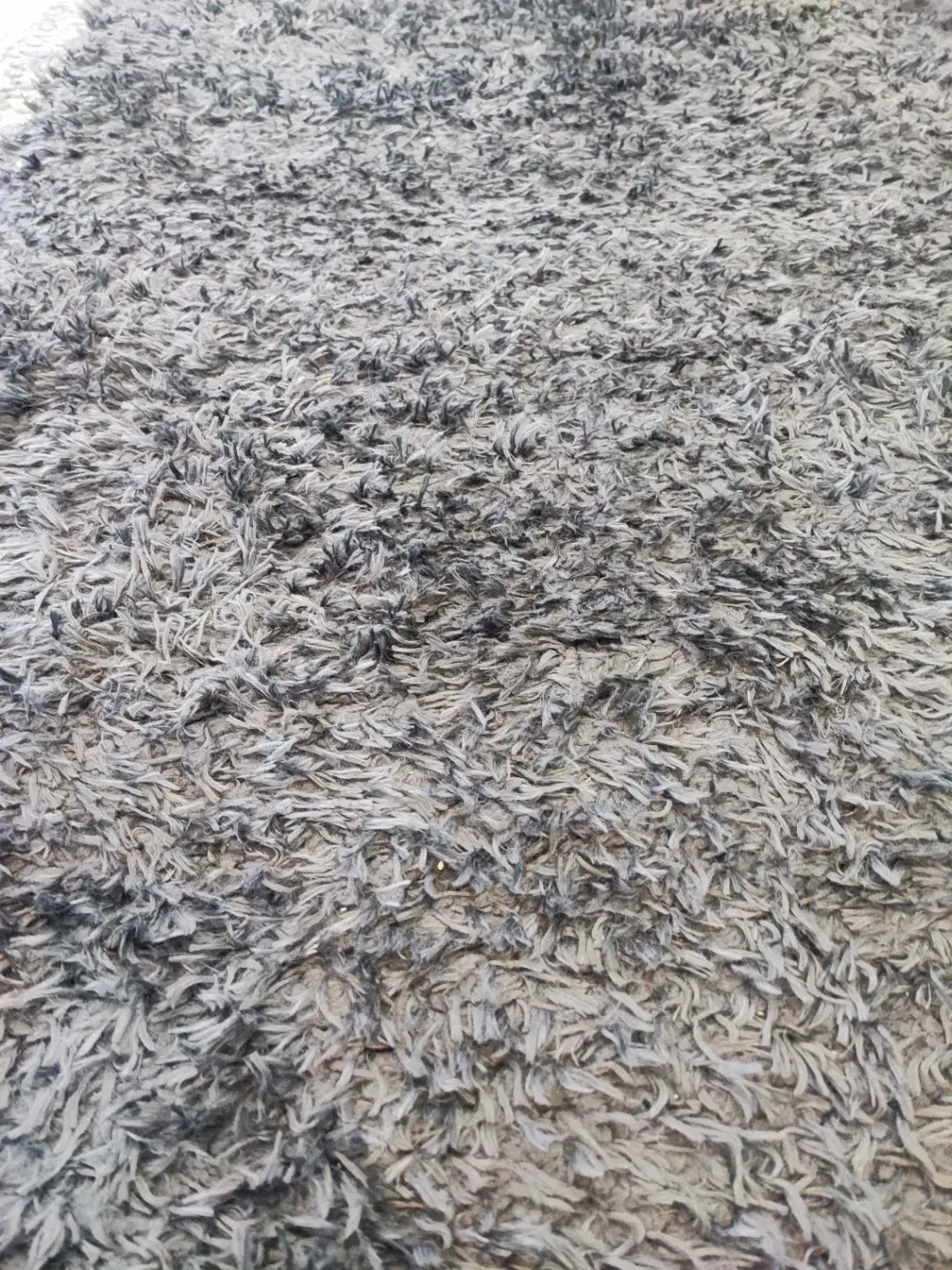 فروش فرش ماشینی و قالیچه|فرش|تهران, شهر زیبا|دیوار