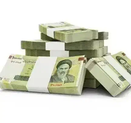 نیاز ب وام سودش هم میدم|فعالیت داوطلبانه|کرمان, |دیوار