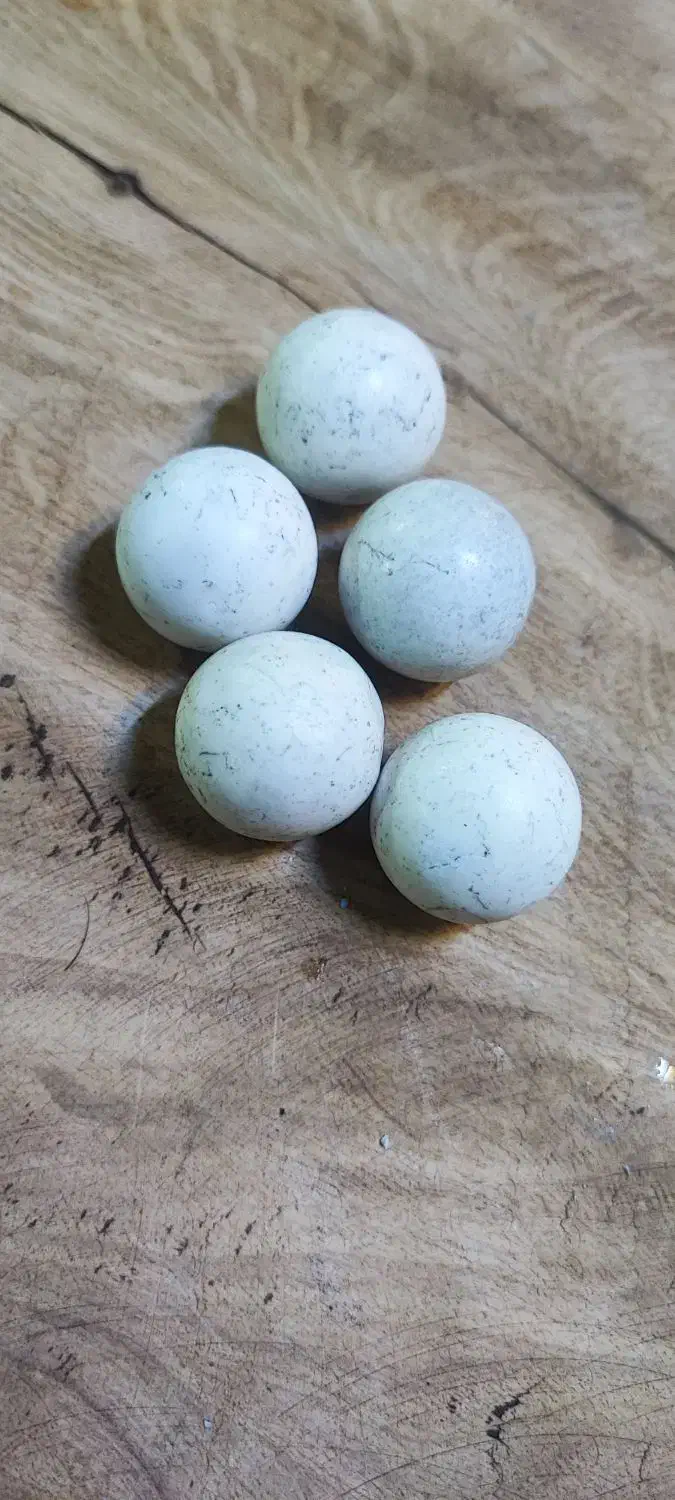 سنگ آسیاب|کلکسیون اشیاء عتیقه|ورامین, ورامین|دیوار