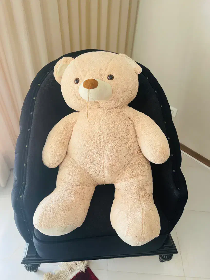 عروسک های مارک|اسباببازی|مشهد, رضاشهر|دیوار