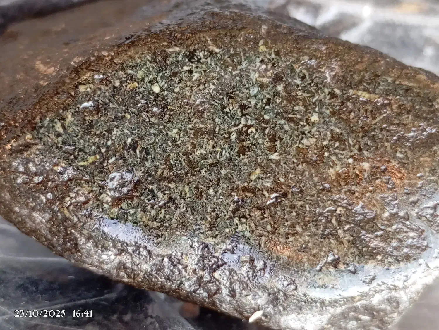 شهاب سنگ واقعه ای سیاره مریخ|جواهرات|خمینی‌شهر, |دیوار