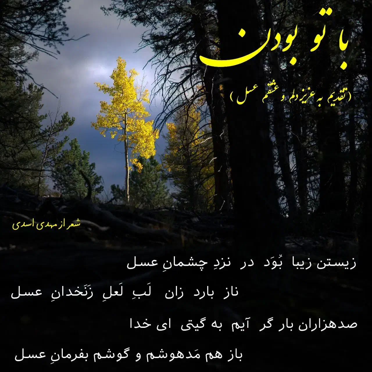 زیستن زیبا بود در نزد چشمان عسل|فعالیت داوطلبانه|شازند, |دیوار