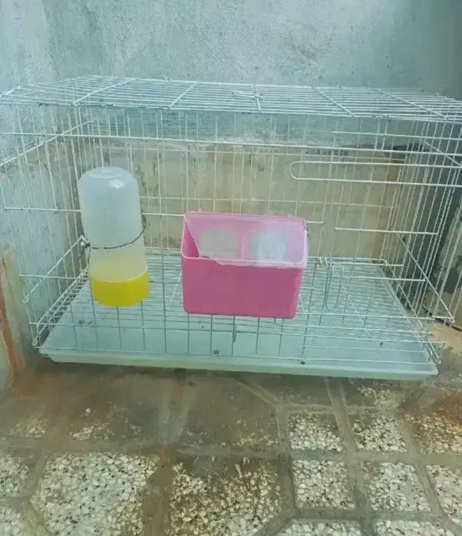 قفس مرغ و خروس|لوازم جانبی حیوانات|شیراز, شهرک مهرگان|دیوار