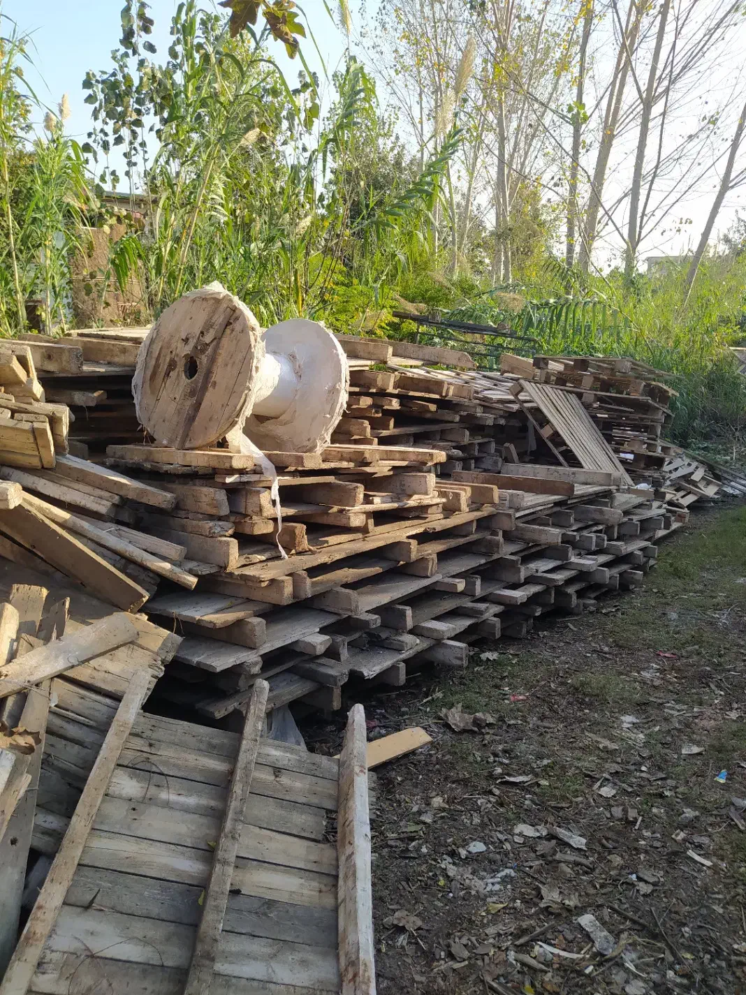 فروش تخته قالب و ۴ تراش قالب بندی|مصالح و تجهیزات ساختمان|محمودآباد, |دیوار