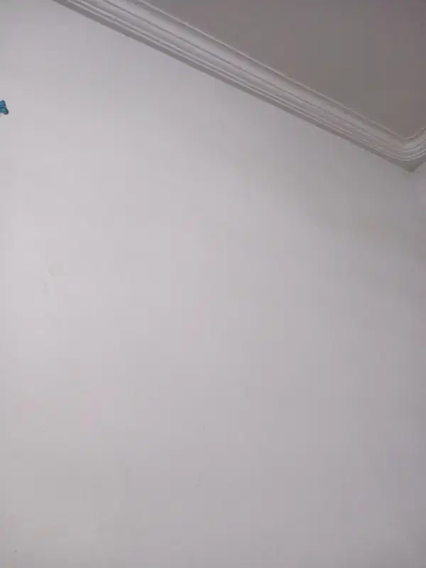 برق کشی ساختمان نصب کلید پریز انجام میدم|خدمات پیشه و مهارت|بم, |دیوار