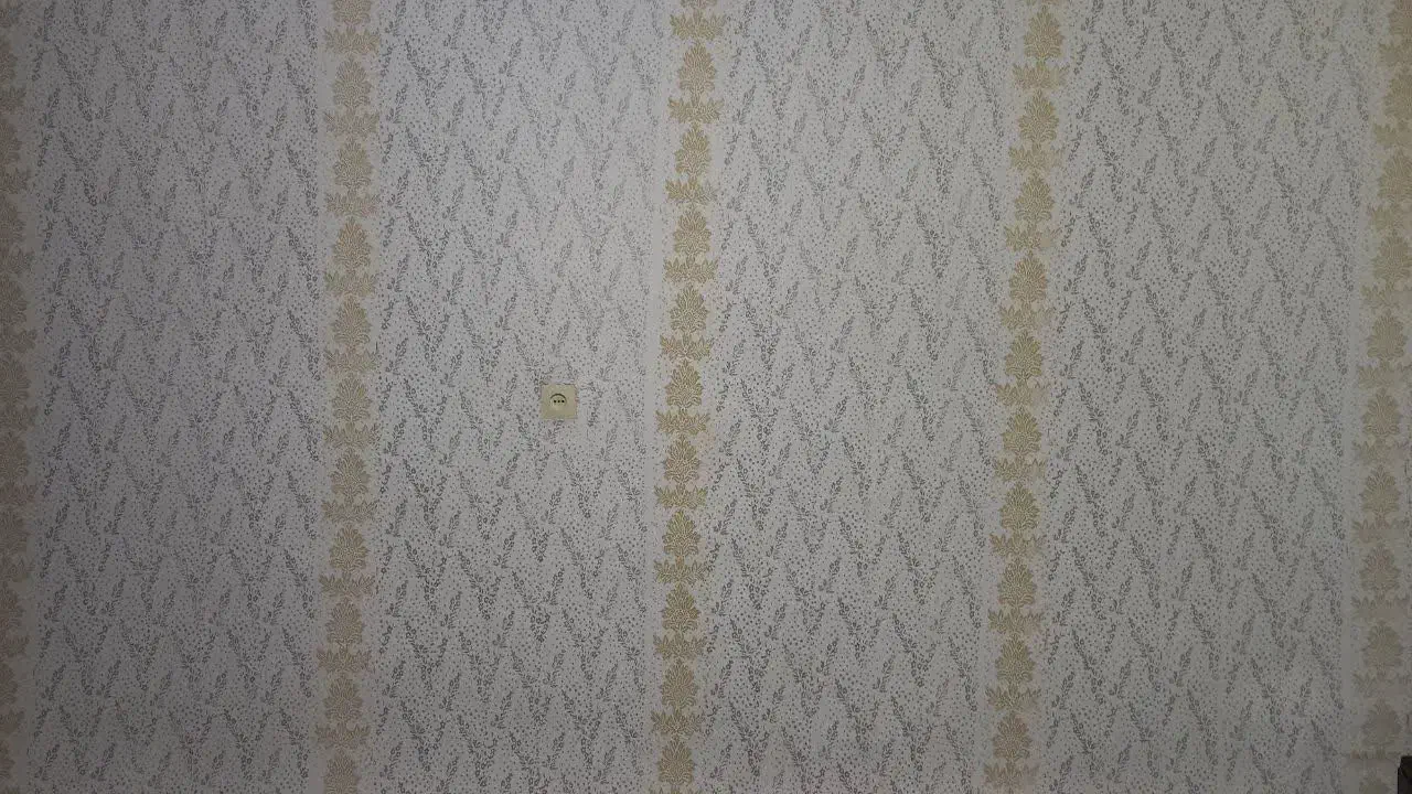 رنگ کاری ساختمان ایلیا|خدمات پیشه و مهارت|تویسرکان, |دیوار