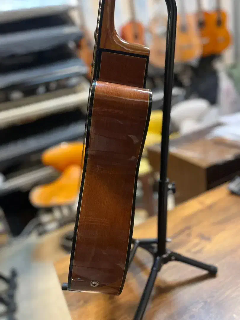 گیتار paochia|گیتار، بیس، امپلیفایر|پردیس, فاز ۳|دیوار