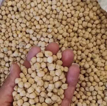 نخود درجه یک|خوردنی و آشامیدنی|الیگودرز, |دیوار