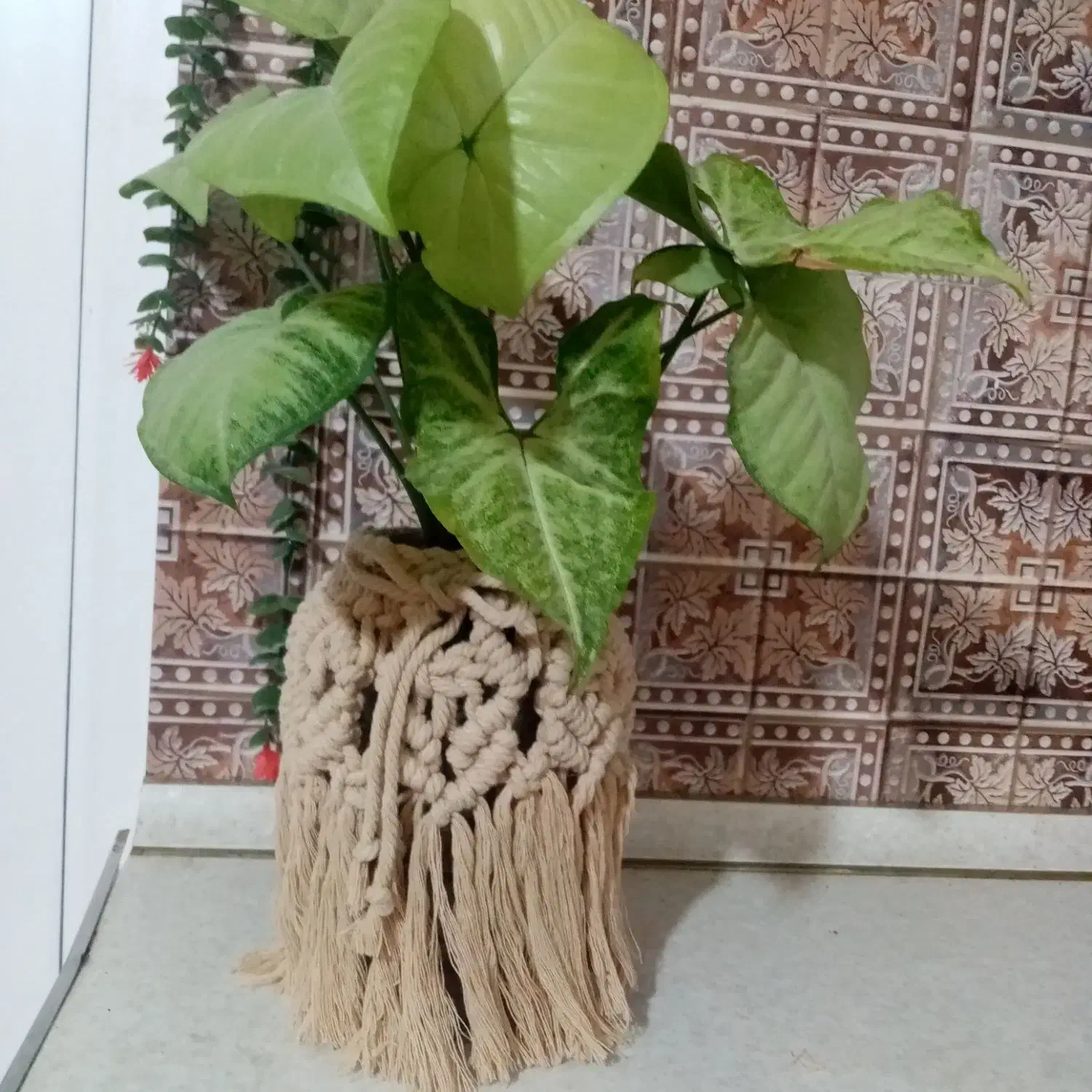 گلدان جار مکرومه|صنایع دستی و سایر لوازم تزئینی|قم, شاه سید علی|دیوار