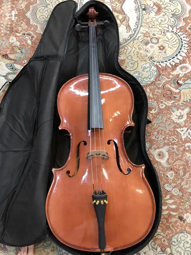 ویولنسل / ویالون سل|ویولن|شیراز, آزادگان|دیوار