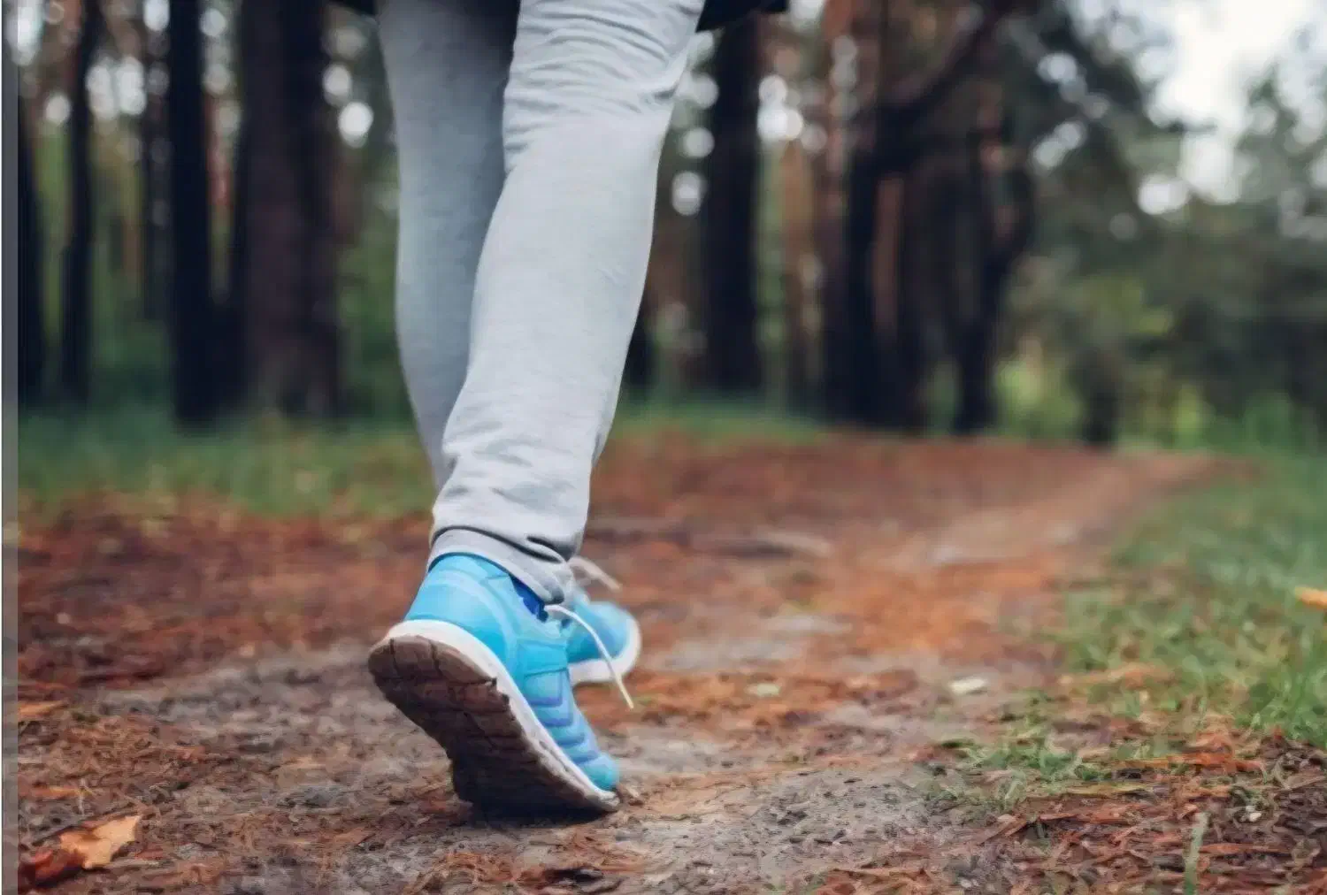 پایه پیاده روی|فعالیت داوطلبانه|کاشان, حاج جمال|دیوار